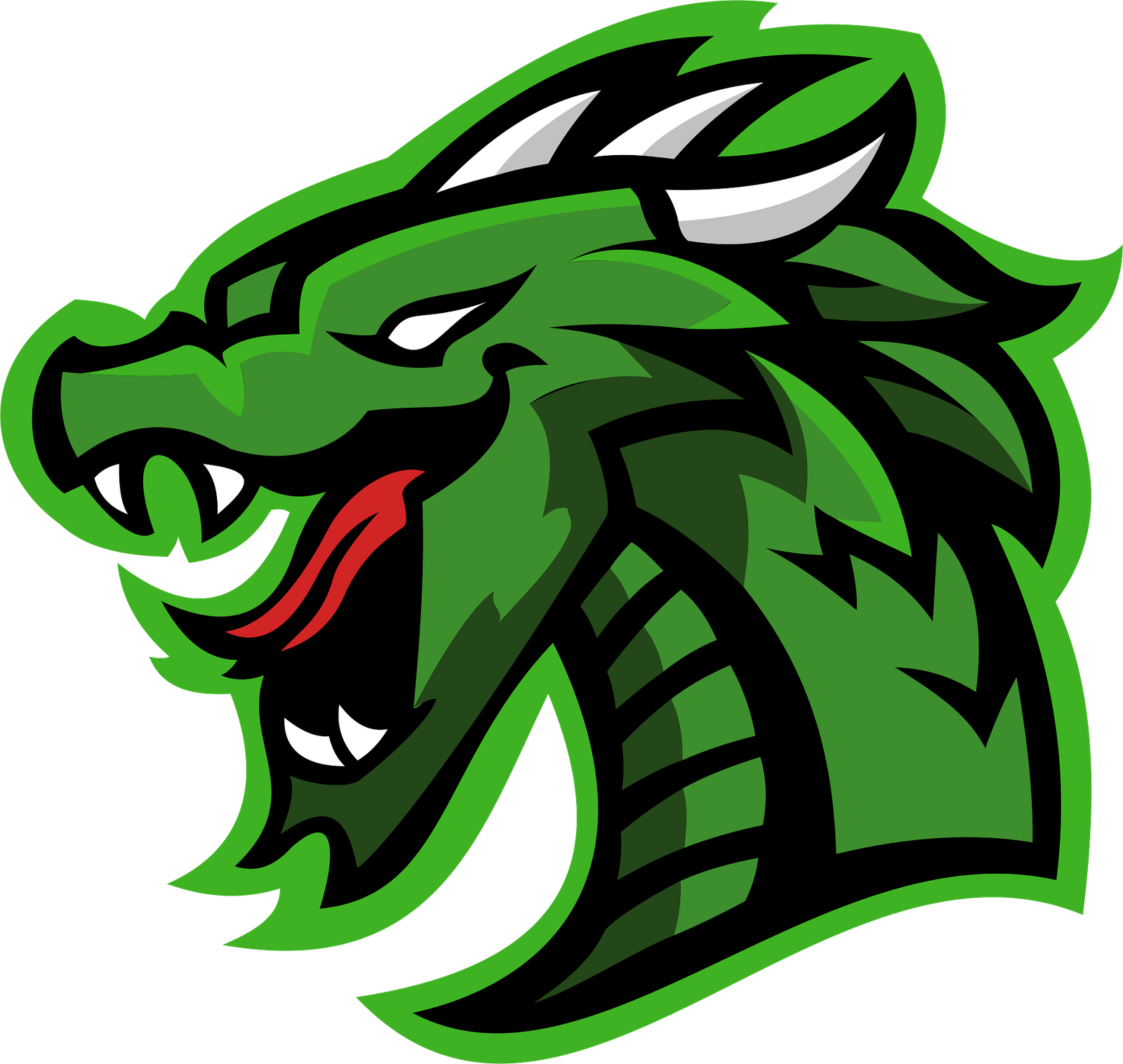 Le  Dragon  Vert